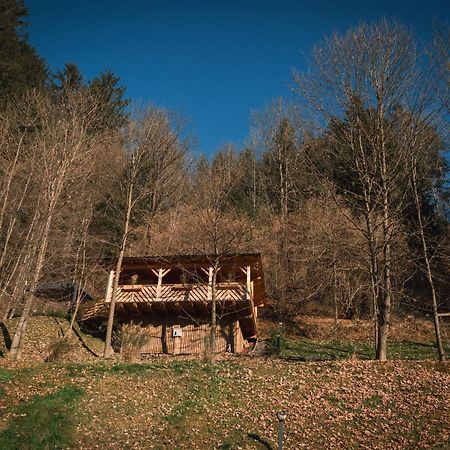 Hiska Na Samem V Slovenj Gradcu Slovenj Gradec Exterior photo
